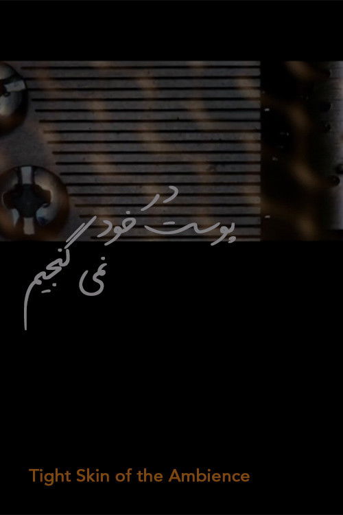 Tight Skin of the Ambience (2014) poster