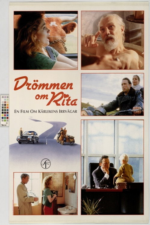 Dreaming of Rita (1993) poster