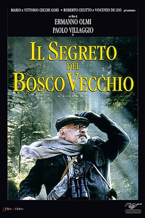 Il segreto del bosco vecchio (1993) poster