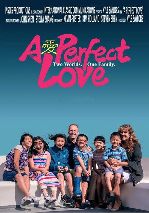 A Perfect Love (2023) poster