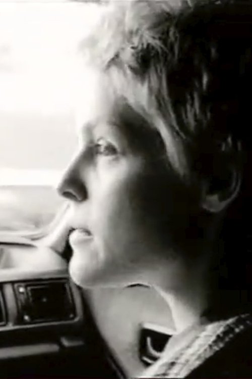 2 in 1 car (1998) poster