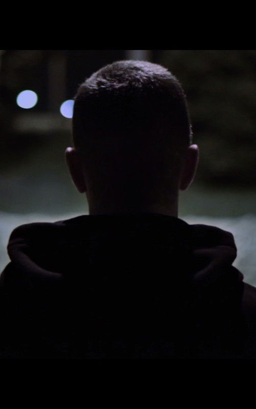 Monstro (2013) poster