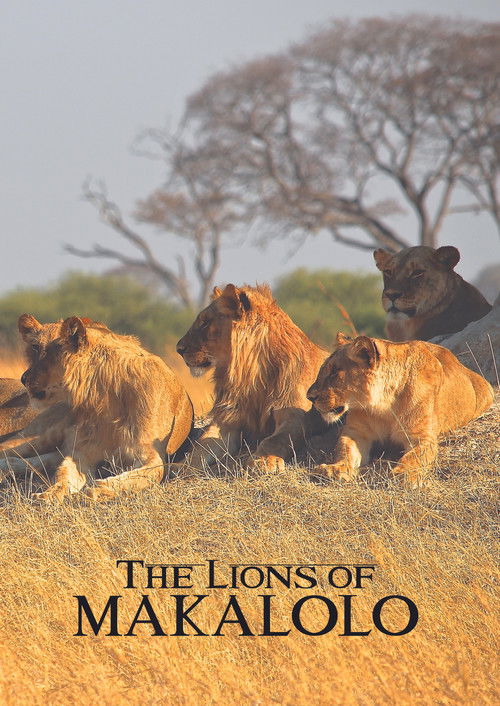 The Lions of Makalolo (2020) poster