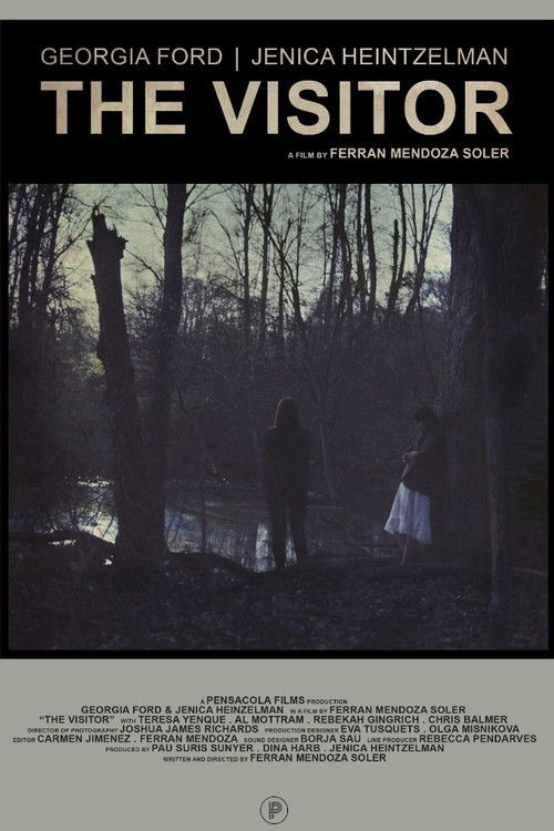 The Visitor (2016) poster