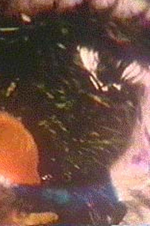 My Good Eye (1995) poster