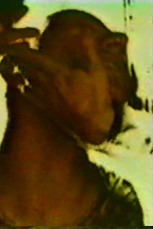 Razor Head (1984) poster