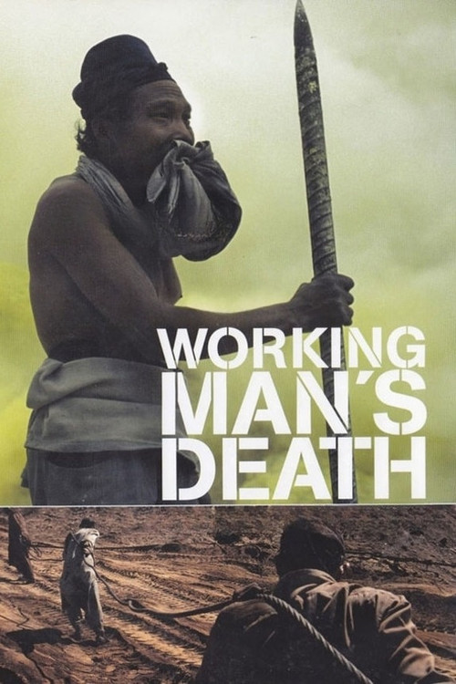 Workingman's Death (2005) poster