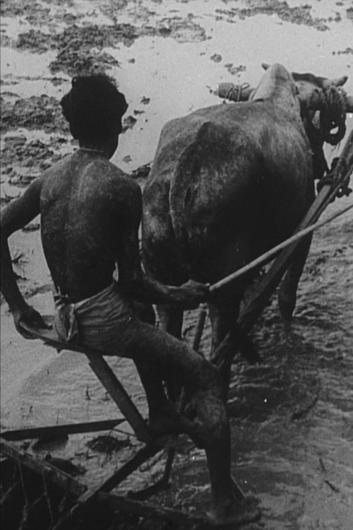 We Have Promises to Keep (1975) poster