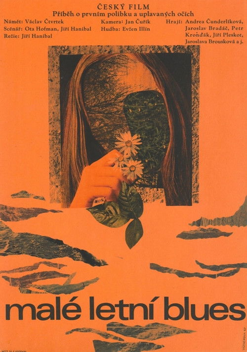 Malé letní blues (1968) poster