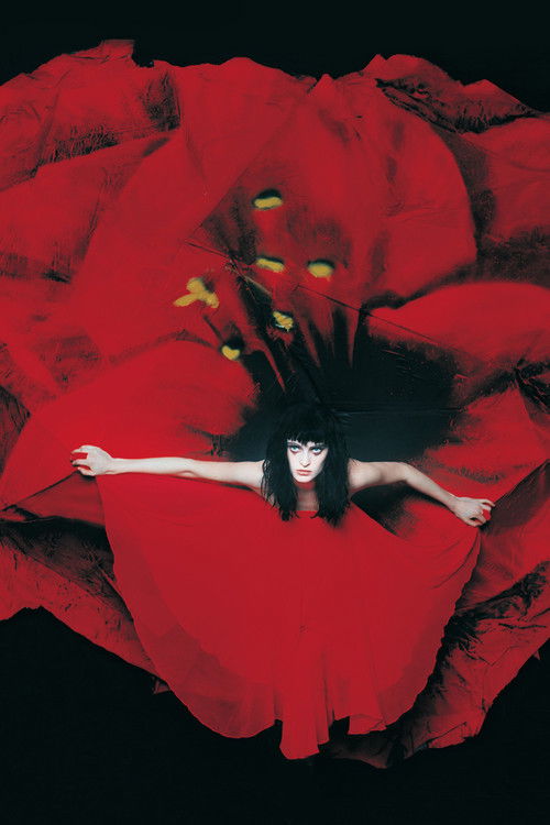 The Smashing Pumpkins: Live At Fox Theater (Live on August 4, 1998) (2014) poster