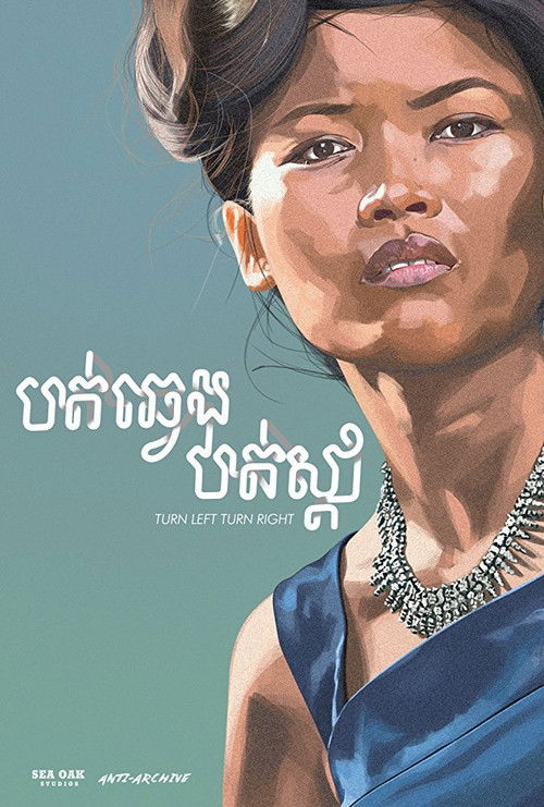 Turn Left Turn Right (2016) poster