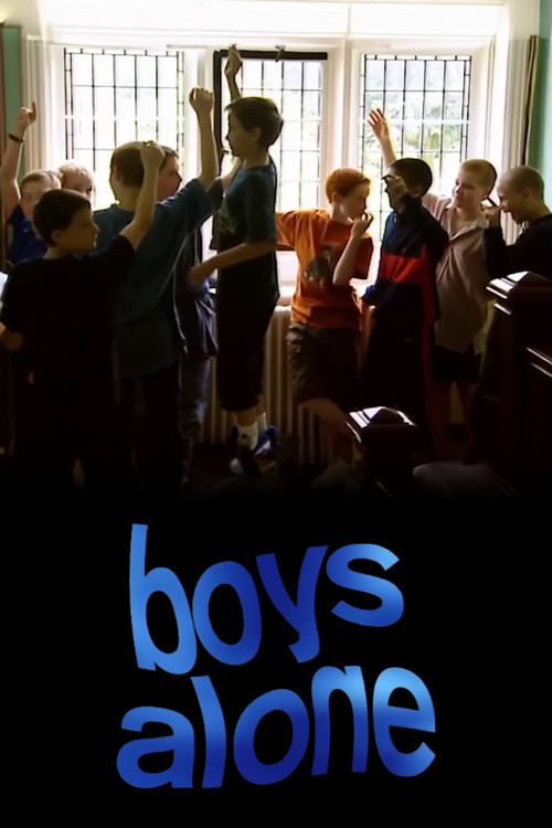 Boys Alone (2002) poster
