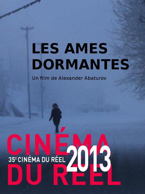 Les âmes dormantes (2013) poster