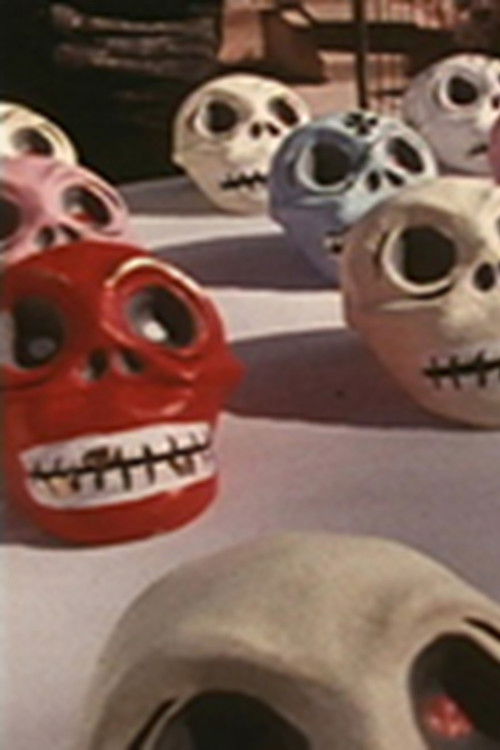 La Mera Frontera (1997) poster