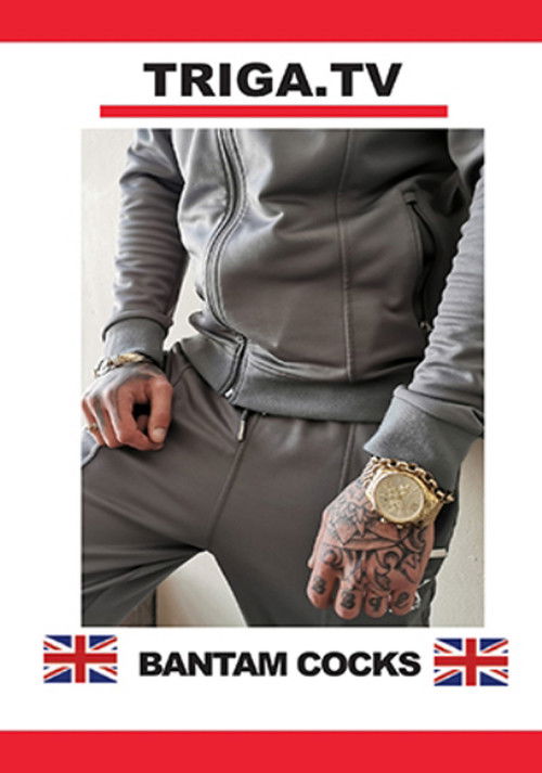 Bantam Cocks (2021) poster