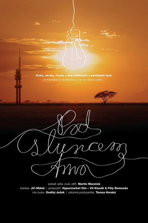 Solar Eclipse (2011) poster