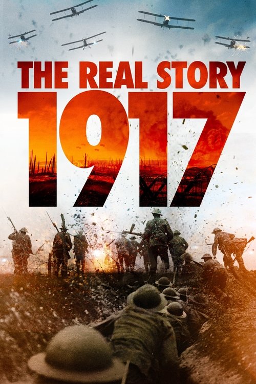 1917: The Real Story (2020) poster