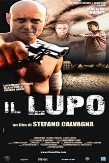 Il Lupo (2007) poster