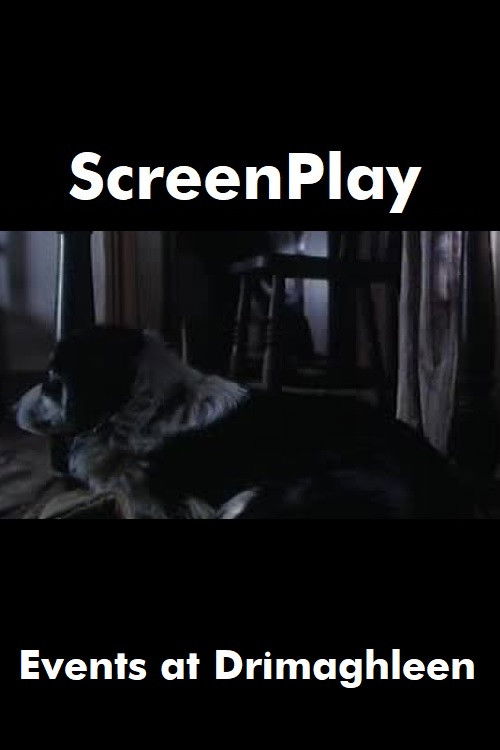 Events at Drimaghleen (1991) poster