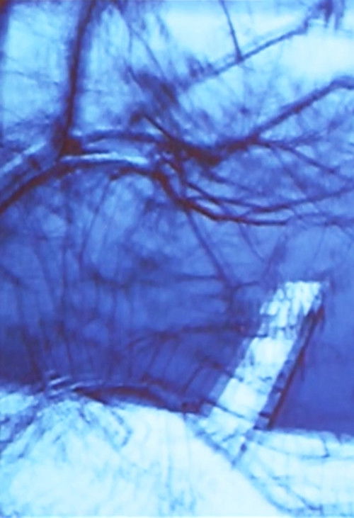 Seelig (1975) poster