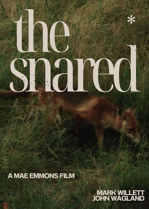 The Snared (2025) poster