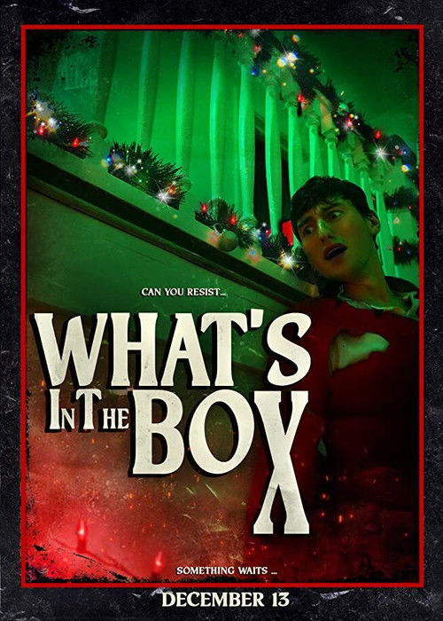 What's in the Box (2020) poster