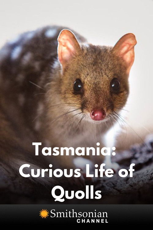 Tasmania: Curious Life of Quolls (2021) poster