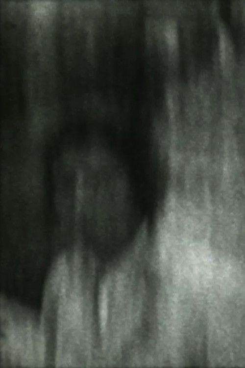 Carnívora (2016) poster