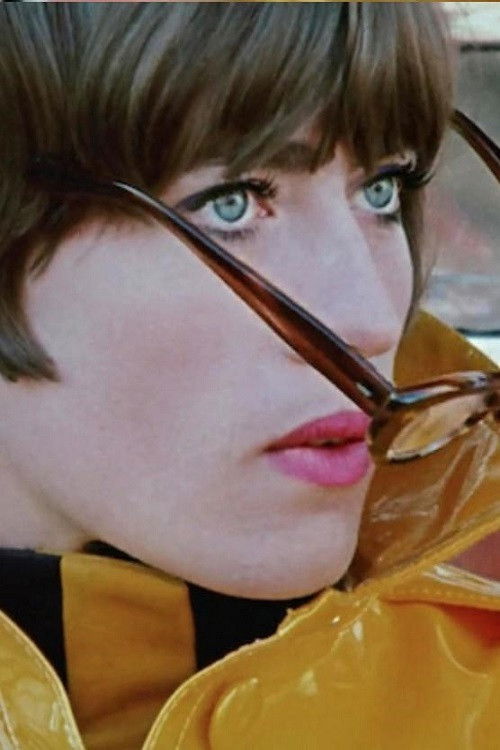 The Truth About the New Anna Susanna (1967) poster