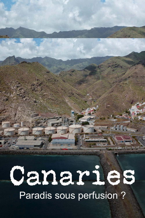 Canaries, paradis sous perfusion ? (2024) poster