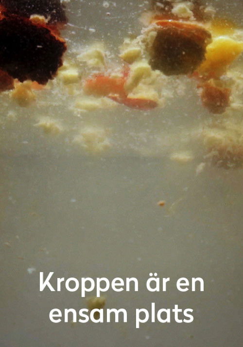 The Body Is a Lonely Place (2016) poster