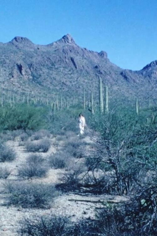 Mirror Movement (1973) poster