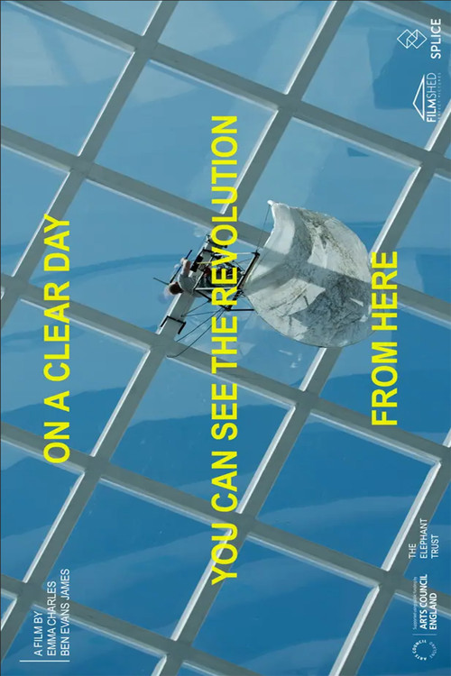 On a Clear Day You Can See the Revolution From Here (2020) poster