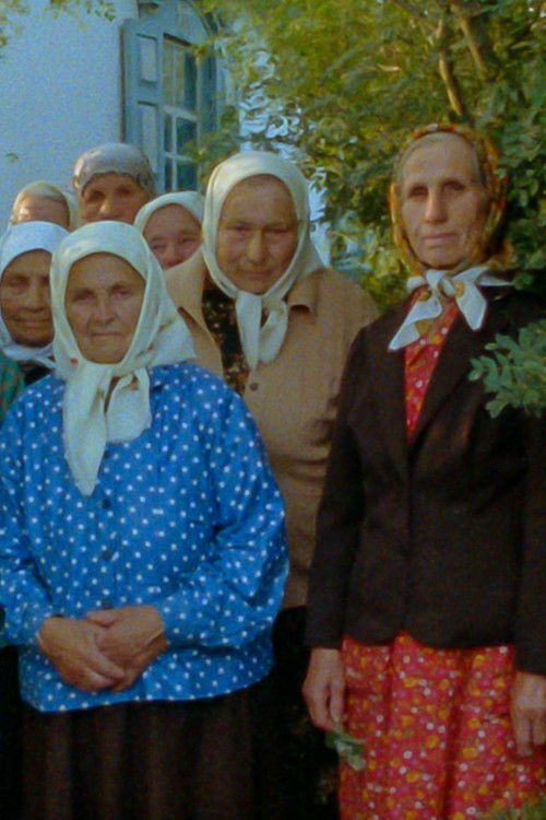 Voices From Afar (1992) poster