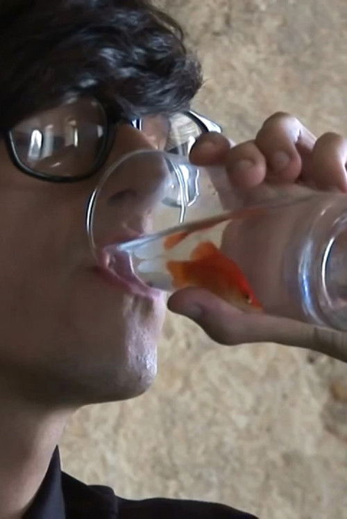 The State That I Am Fish (2011) poster