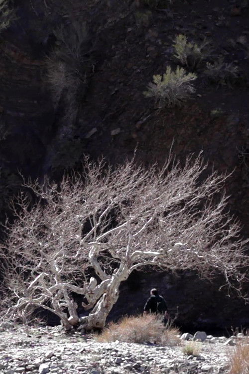 Paradise Springs (2013) poster