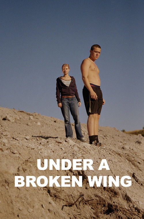 Under a Broken Wing (2025) poster