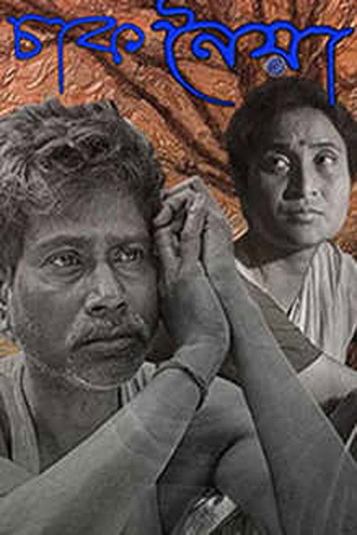 Chaaknoiya (2017) poster