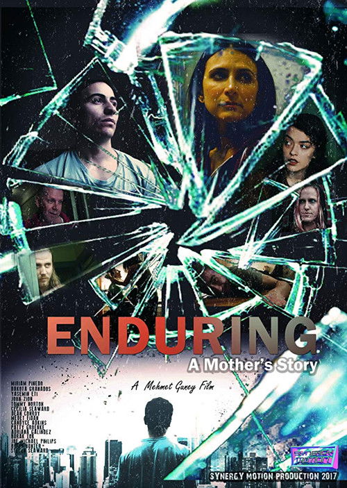 Enduring: A Mother's Story (2017) poster