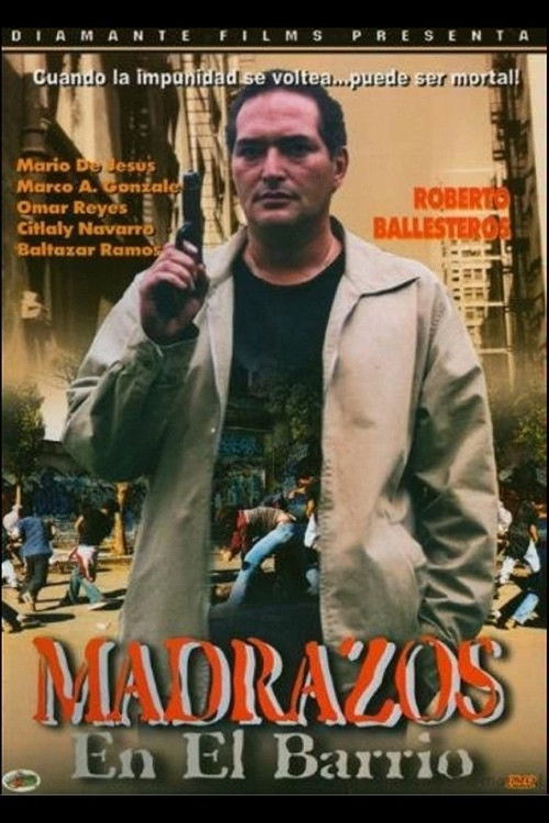 Madrazos En El Barrio (2006) poster