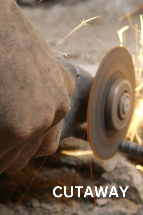 Cutaway (2014) poster