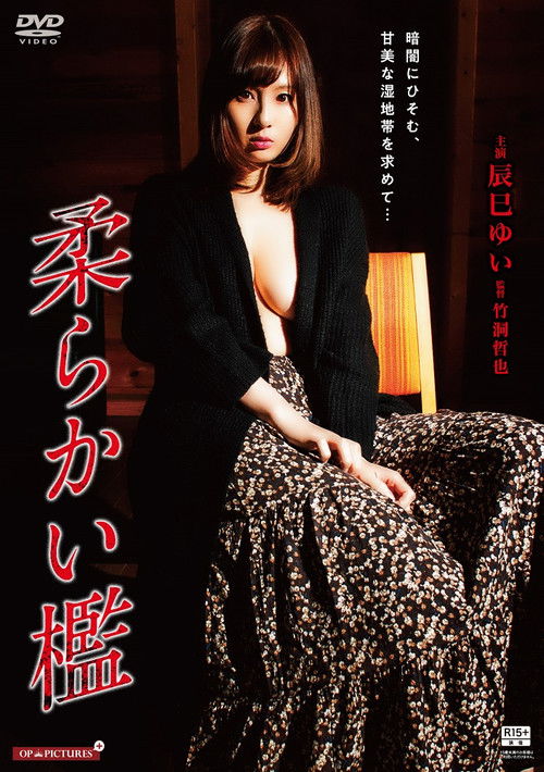 疑心乱交 闇夜にうごめく雌尻 (2017) poster