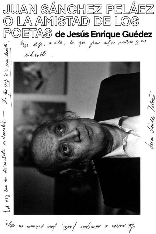 Juan Sánchez Peláez o la amistad de los poetas (2004) poster