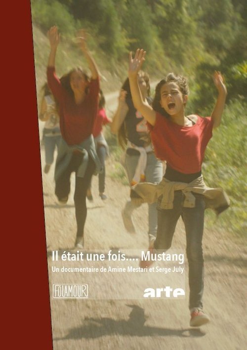 Once Upon a Time... MUSTANG (2018) poster