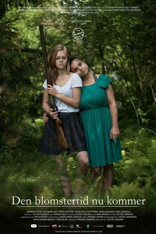 Meet Me in Holmsund (2017) poster