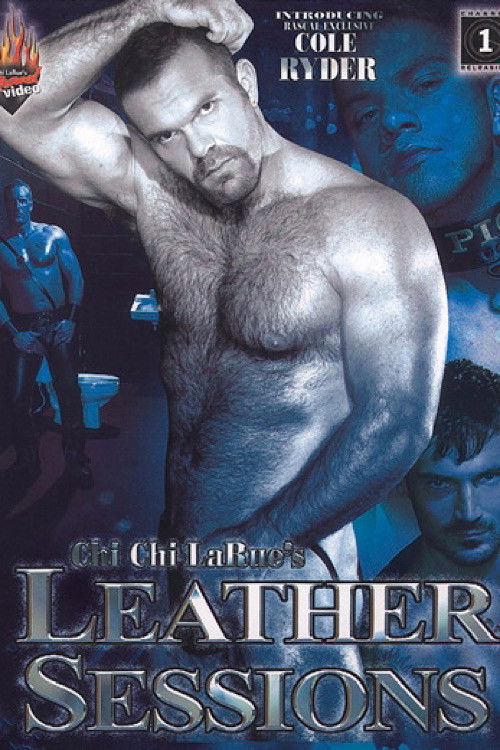 Leather Sessions (2006) poster