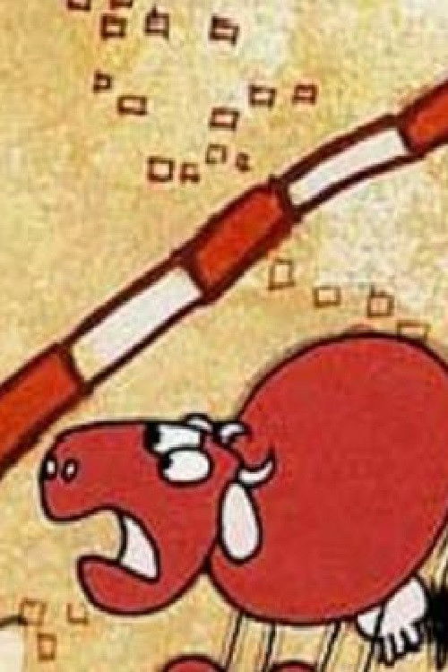 Cow at the Border (1963) poster