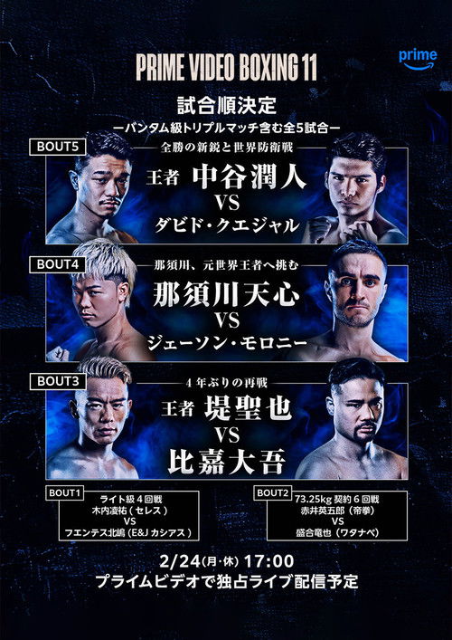 PRIME VIDEO BOXING 11 (2025) poster