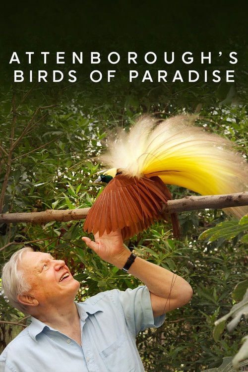 Birds of Paradise (2010) poster