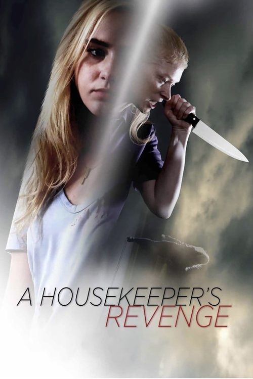A Housekeeper's Revenge (2016) poster